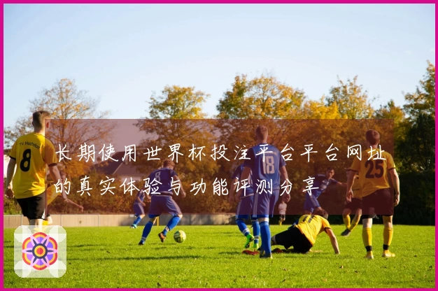 长期使用世界杯投注平台平台网址的真实体验与功能评测分享