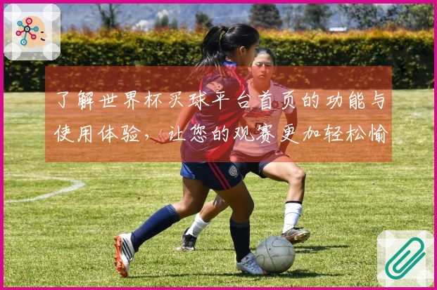 了解世界杯买球平台首页的功能与使用体验，让您的观赛更加轻松愉快