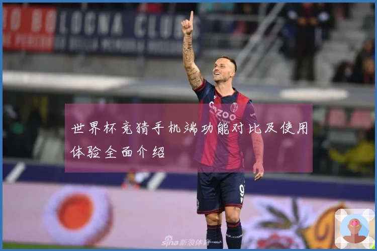 世界杯竞猜手机端功能对比及使用体验全面介绍