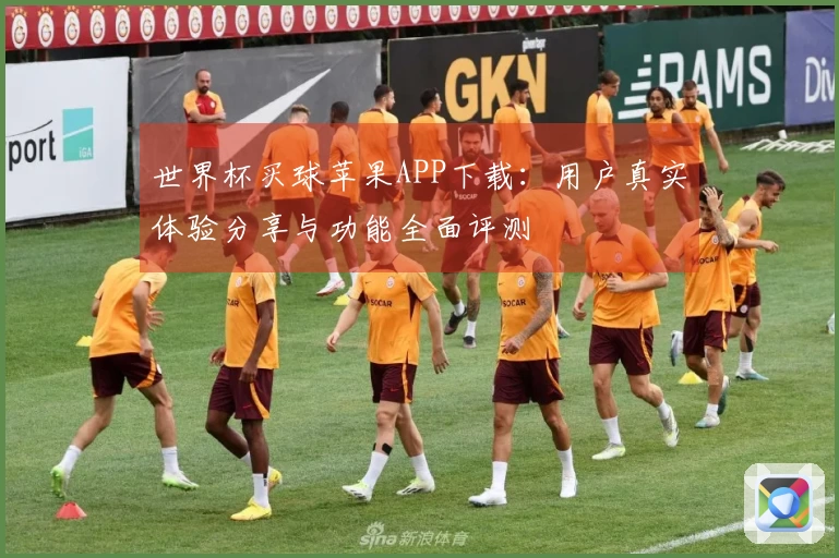 世界杯买球苹果APP下载：用户真实体验分享与功能全面评测