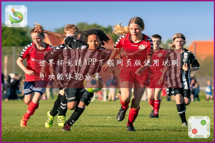 世界杯竞猜APP下载网页版使用说明与功能体验分享