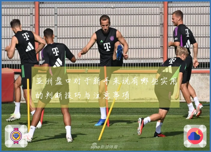 亚洲盘口对于新手来说有哪些实用的判断技巧与注意事项