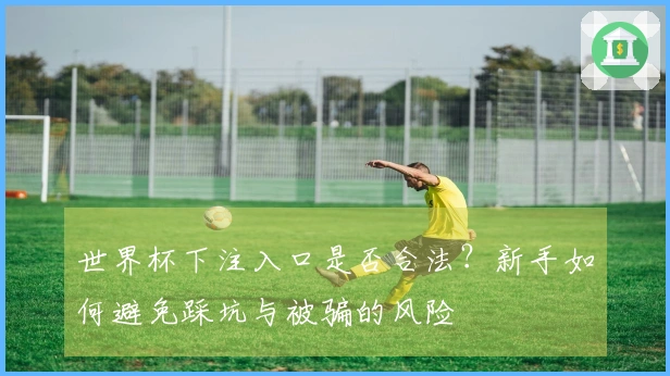 世界杯下注入口是否合法？新手如何避免踩坑与被骗的风险