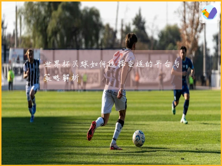 世界杯买球如何选择合适的平台与策略解析