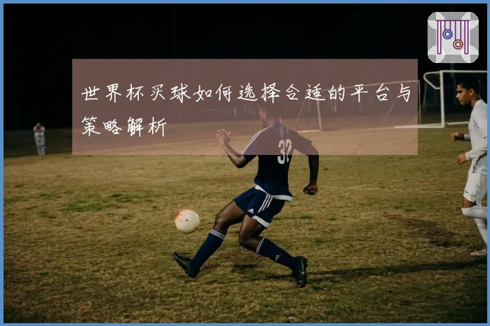 世界杯买球如何选择合适的平台与策略解析