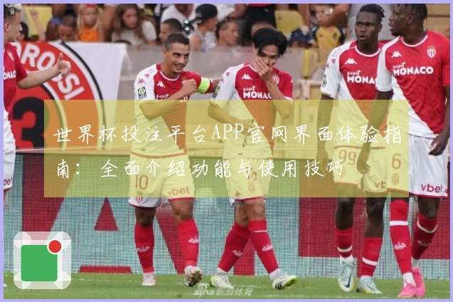 世界杯投注平台APP官网界面体验指南:全面介绍功能与使用技巧