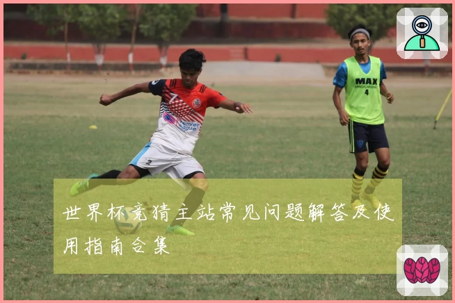 世界杯竞猜主站常见问题解答及使用指南合集