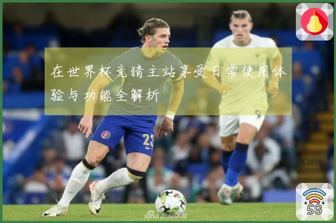 在世界杯竞猜主站享受日常使用体验与功能全解析