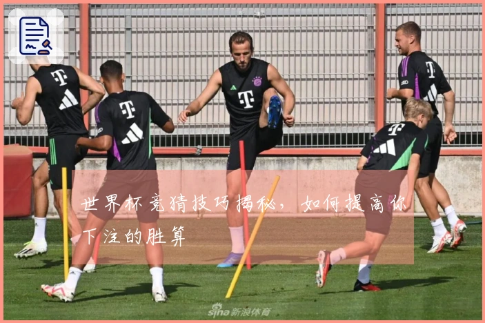 世界杯竞猜技巧揭秘，如何提高你下注的胜算