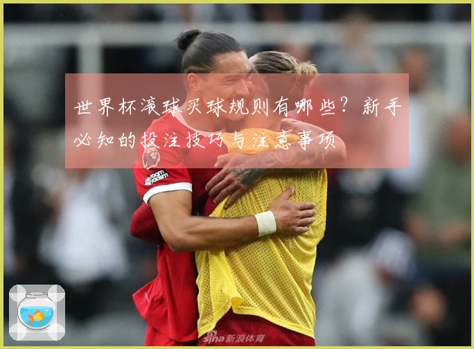 世界杯滚球买球规则有哪些？新手必知的投注技巧与注意事项