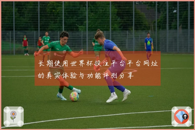 长期使用世界杯投注平台平台网址的真实体验与功能评测分享